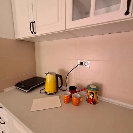 Apartman Jelena Sokobanja Exterior foto