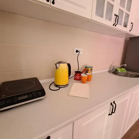 Apartman Jelena Sokobanja Exterior foto