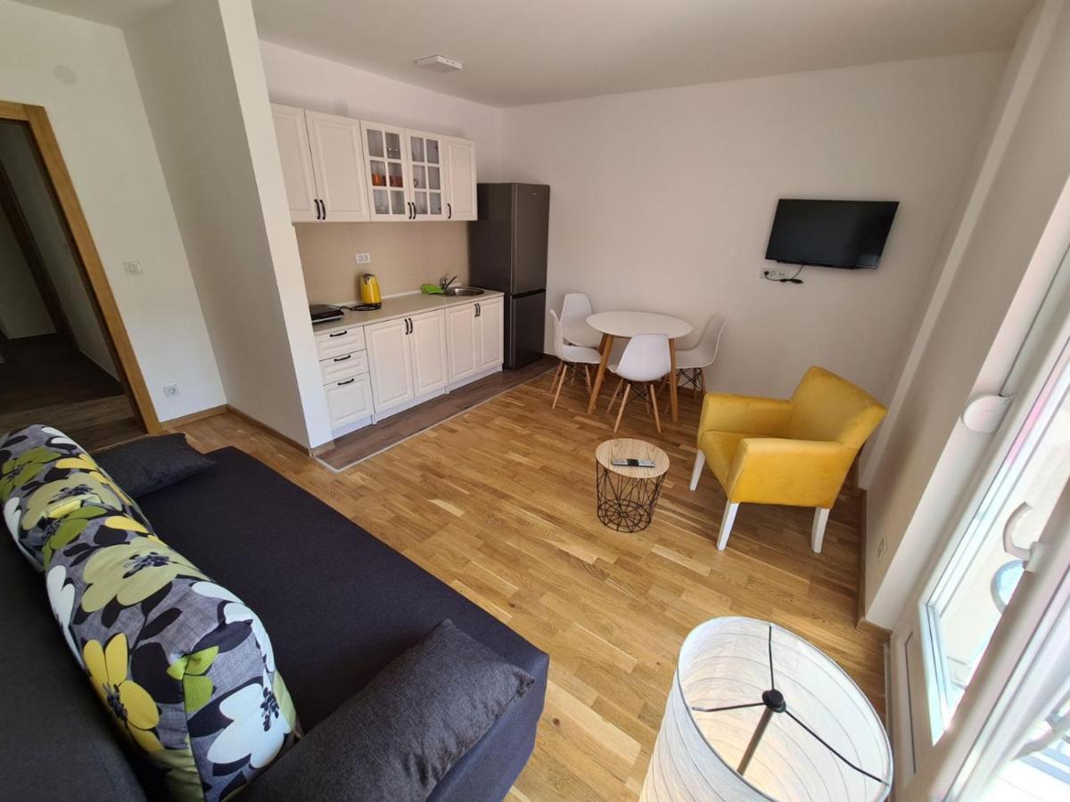 Apartment Jelena Soko Banja